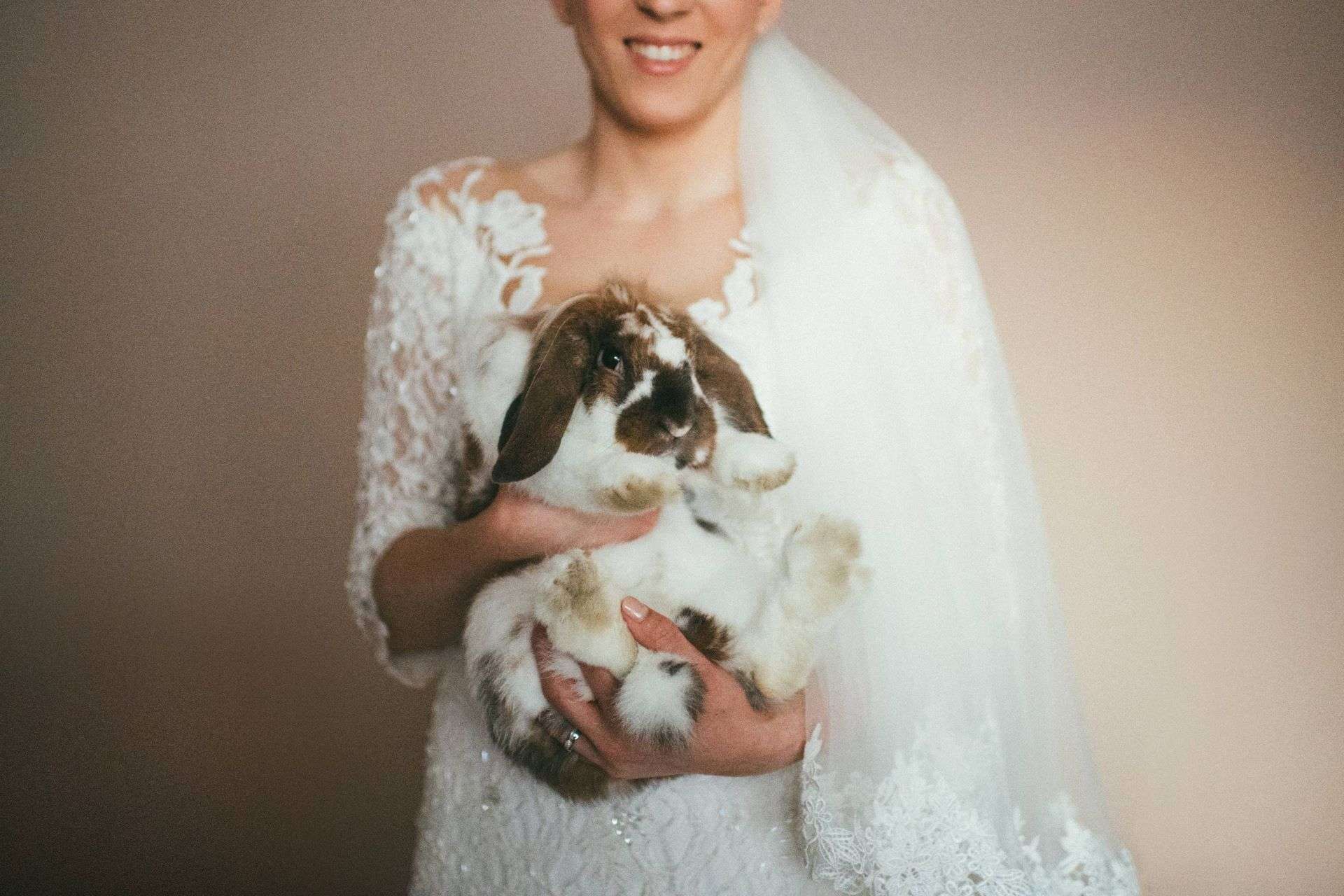 dalmatian wedding :: split in love