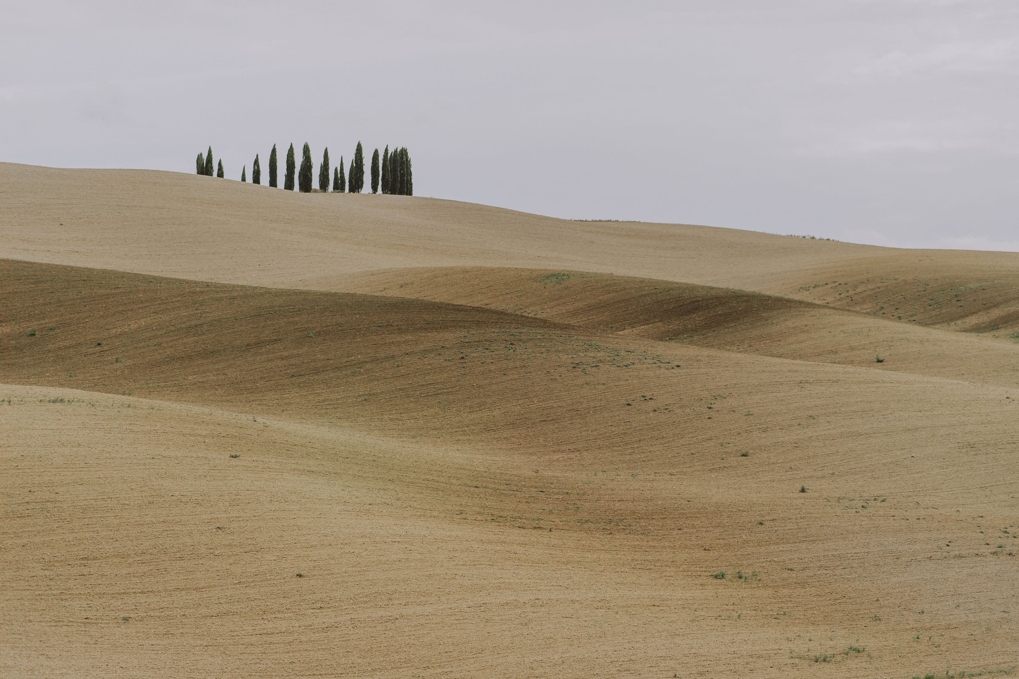 tuscany engagement photographer san quirico dorcia vitaleta chapel